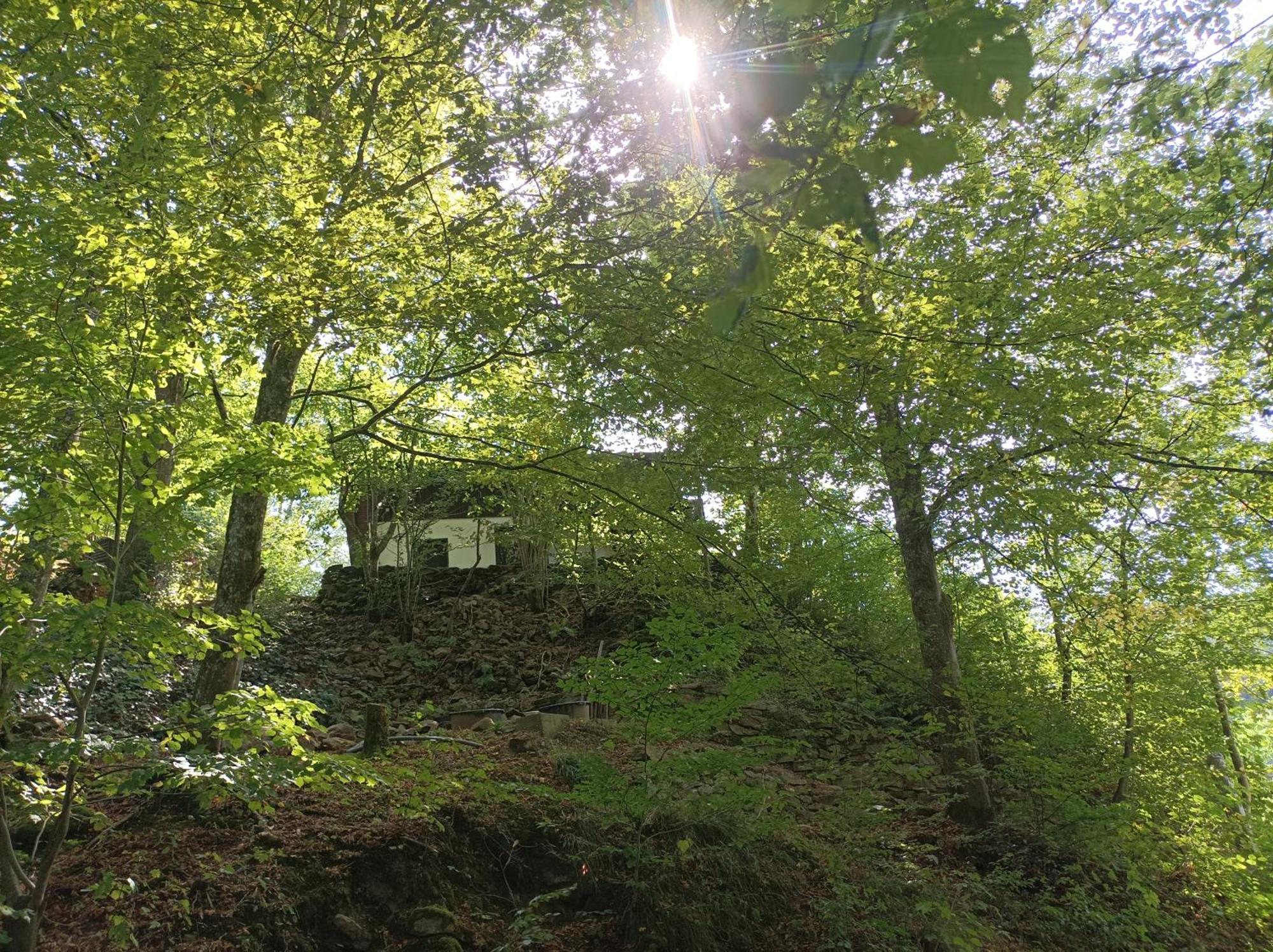 Burgberg Schoellnstein Iggensbach Luaran gambar